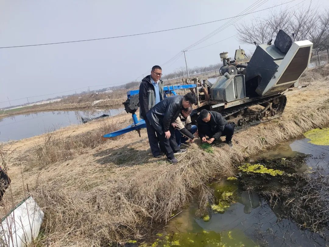 镇江句容水产养殖尾水治理方法详解，环保新举措助力可持续发展