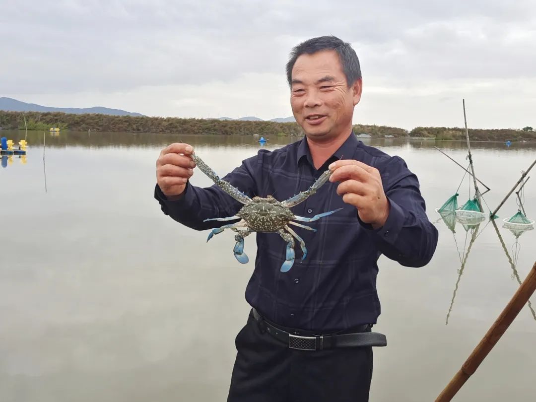 发现水产养殖潜力股！揭秘未来养殖业新星