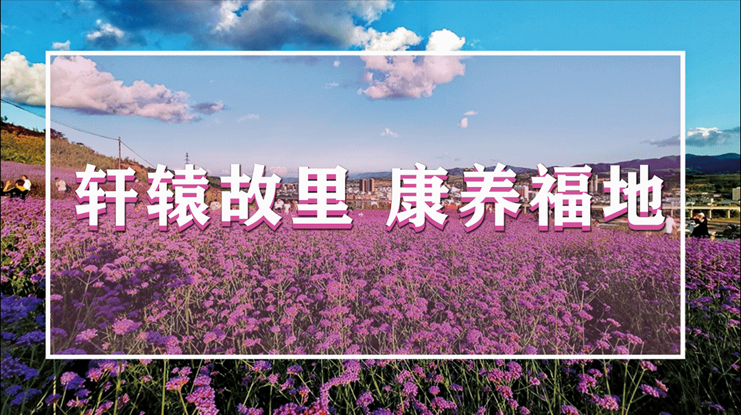 丁香花开，香约清水：以花为媒，遇见最美的清水风光