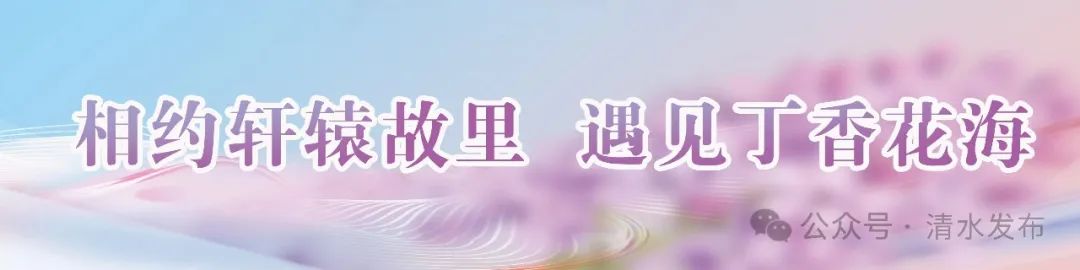 丁香花开，香约清水：以花为媒，遇见最美的清水风光