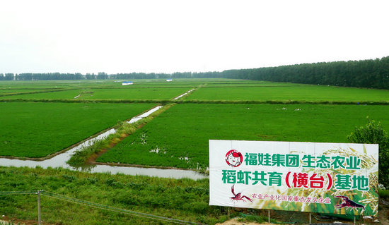 荆州监利：从全国水稻第一县到中国小龙虾第一县的华丽转型