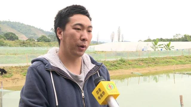 四会水库旁小龙虾养殖场助力乡村振兴，本地特色美味等你来尝