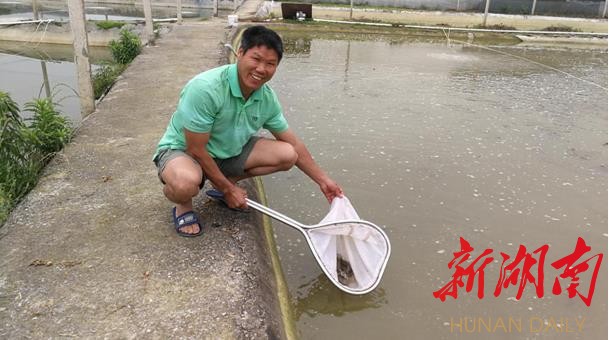泥鳅大王变形计：揭秘泥鳅养殖与加工的全过程