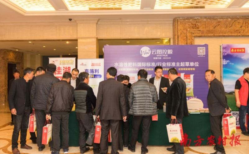 红美人柑橘种植与销售全攻略：亩产值20万元的秘诀揭秘