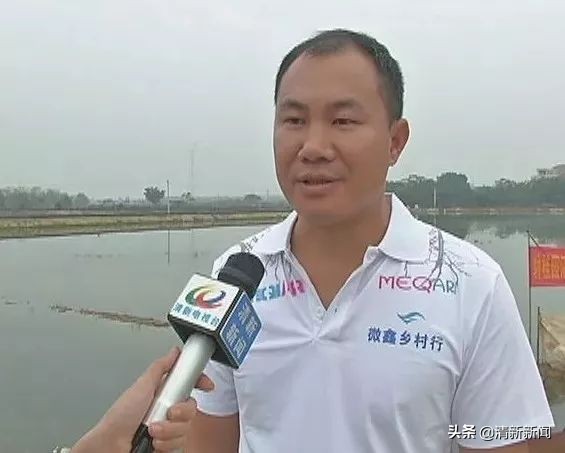 稻田养殖小龙虾技术揭秘：鲜嫩可口，食神级美味体验