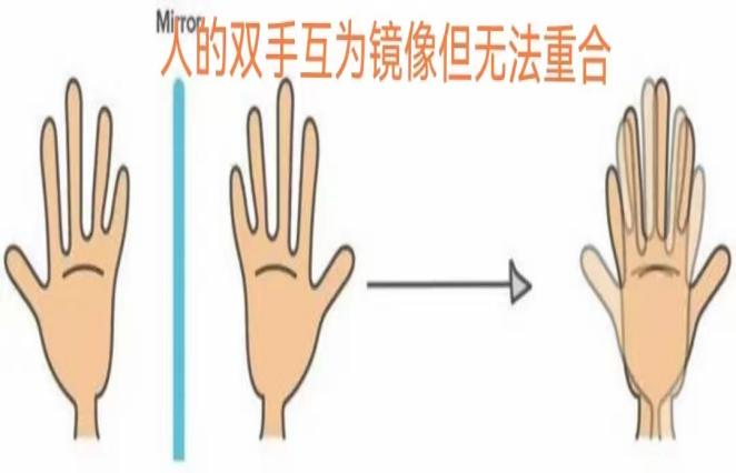 吕金顺教授退休后种植丝瓜的独特生活故事与经验分享