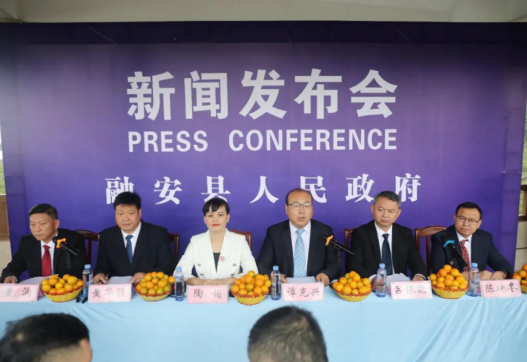 融安金桔上市时间正式公布，了解最新采摘与购买指南