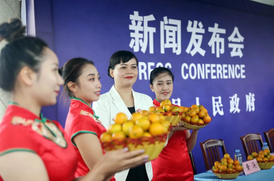 融安金桔上市时间正式公布，了解最新采摘与购买指南