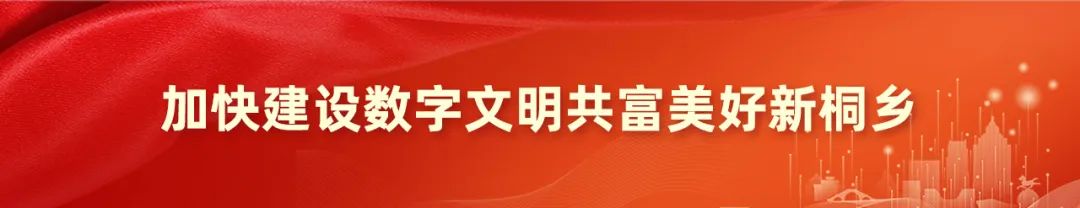 桐乡丝瓜大王：揭秘当地丝瓜种植的秘诀与成功故事