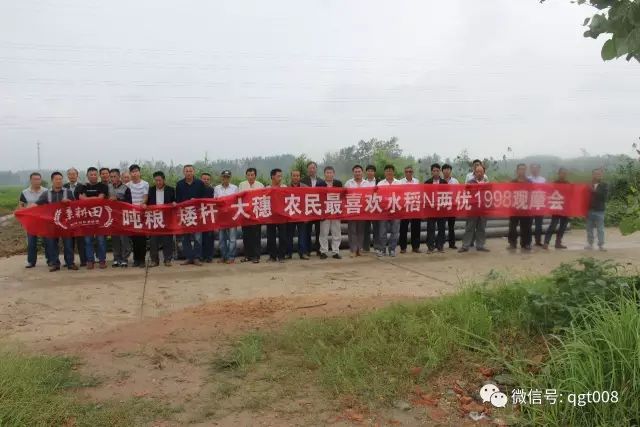 大蒜种植过冬技巧：如何确保大蒜安全越冬并提高产量