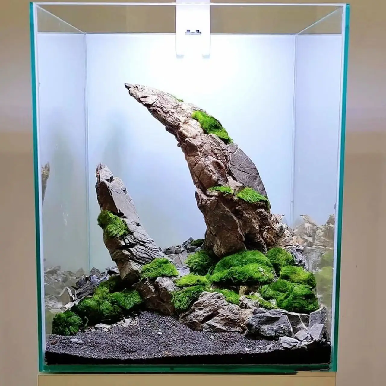 手把手教你制作苔藓微景观：第15集的详细制作技巧与注意事项