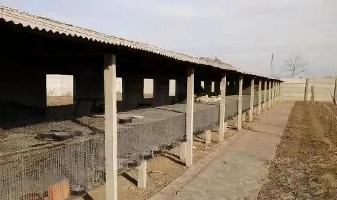 2024年企业拆迁补偿政策深度解析：政府扶持养殖场违建强拆案例剖析